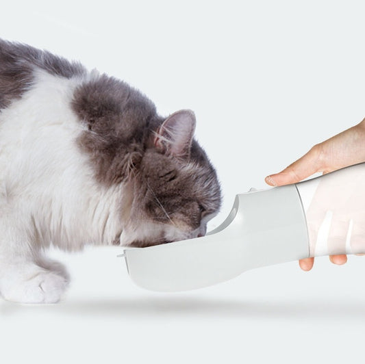 2-in-1 Travel Pet Water Dispenser for Dogs & Cats